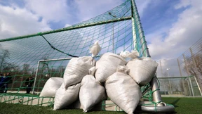 Jugendfußball am Samstag wieder mit Toren