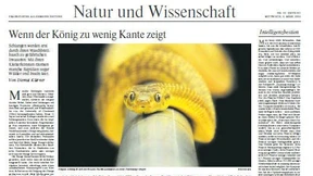 Kletternde Schlangen