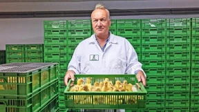 Martinsgans ohne Aufschlag