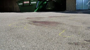 Polizist mit Messer schwer verletzt 