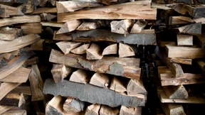 Das Brennholz bleibt knapp
