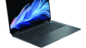 Rabenbussard mit Rollkoffer