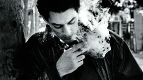 Ein Leben der Literatur