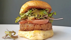 Kalt erwischt mit veganen Burgern