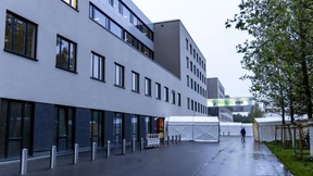 Sechs Babys in der ersten Nacht