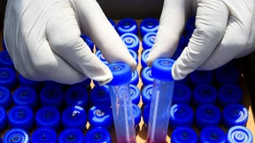 Trickst die indische Doppelmutante das Immunsystem von Geimpften aus?