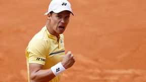 Gut gebrüllt, Löwe