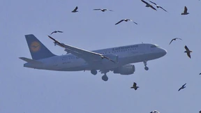 Vogelschlag rechtfertigt nicht jede Verspätung