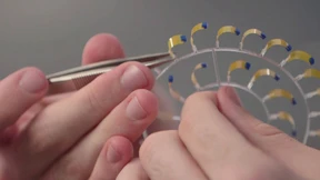 Der (fast) perfekte grüne Treibstoff