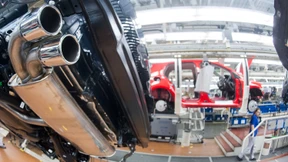 VW entschuldigt sich für Tierversuche