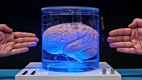 Technik, die unter die Haut geht