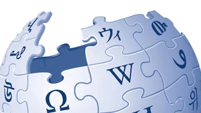 139 Stimmen für Wikipedias „Blackout“