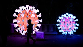 Anteil von Omikron-Sublinie BQ.1.1 in vier Wochen vervierfacht