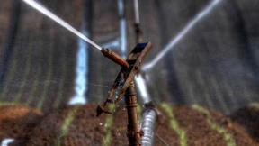 Metalldiebe suchen Spargelfeld heim