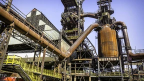 Mein wildes Mädchen, schwarz und treu