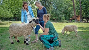 Engagement für bedroht Haus- und Nutztiere