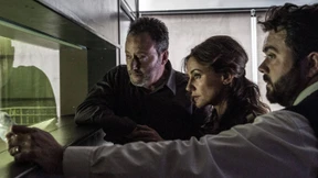 Das kommt uns doch sehr amerikanisch vor