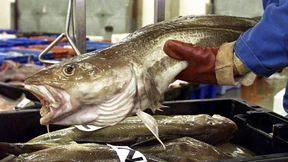 „Wir sind total am Boden zerstört“