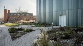 Grüner Hügel statt roter Burg