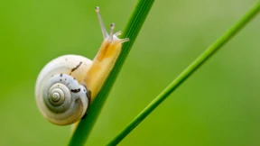 Entschleunigung an den Finanzmärkten