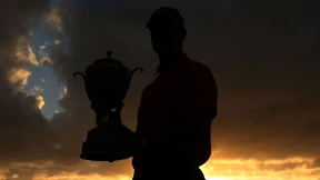 Die Nummer 76 des Tigers