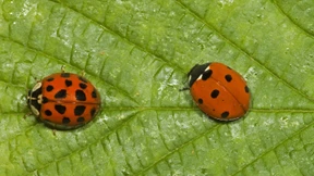 Leserbriefe vom 3. Dezember 2022