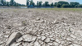 Niedrigwasser legt Weltkriegsmunition frei