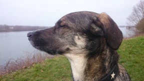 Wenn zum Laufen die Motivation fehlt