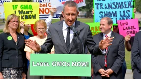 Der Eiscreme-Aktivist