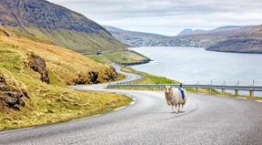 Die Neuvermessung der Welt