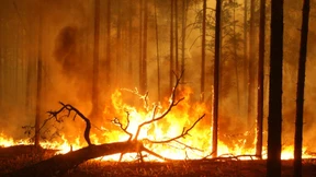 Mindestens elf Tote bei Explosionen in Munitionslager