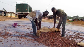 Afrikanisches Fieber