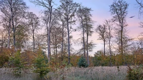 Schauplätze der Gewalt