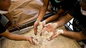 Die Drogenbarone von Damaskus