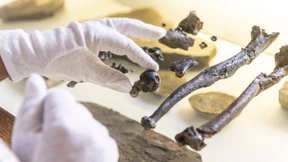 Die ersten aufrechten Bayern