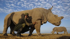 Wie wenig ist zu viel?