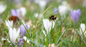 Viel Sonne und knapp 20 Grad