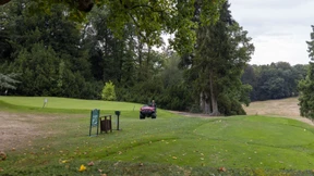 Sattes Grün für Golfspieler