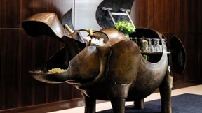 Einstein und das Flusspferd