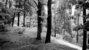 Die Schule bietet enorme Chancen für Betroffene