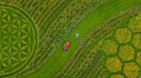 Maler schafft Kunstwerk als Insektenparadies