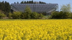 Die wichtigsten Fragen und Antworten zu grünen Geldanlagen