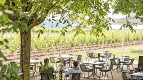 Der Rheingau und seine Weinschänken