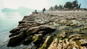 So kann die „Klima-Zeitbombe“ entschärft werden