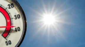 Rekordhitze in Deutschland: „Wir sind erstaunlich schlecht vorbereitet“