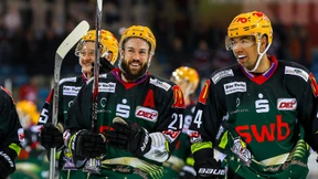 Der unverhoffte Aufstieg der Pinguine