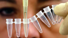 Die Logik der Gentechnik