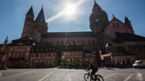 Sägen am grünen Ast