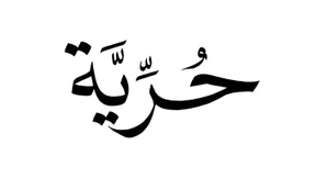 Warum muss erst Pro-NRW kommen?