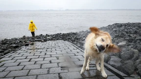 Was ist das für ein Frühlingsanfang?